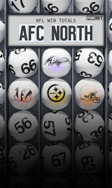 NFL odds: Over/under win total bets for every team in the AFC North
